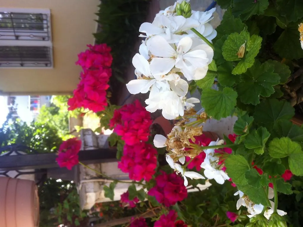 Besik Hotel Fethiye 3*,